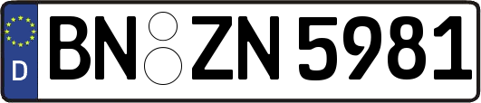 BN-ZN5981