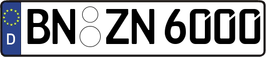 BN-ZN6000