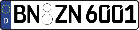 BN-ZN6001