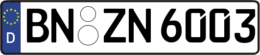 BN-ZN6003