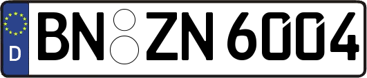 BN-ZN6004