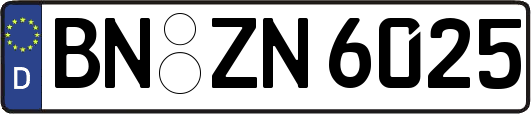 BN-ZN6025
