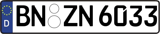 BN-ZN6033