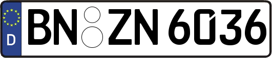 BN-ZN6036
