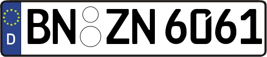 BN-ZN6061