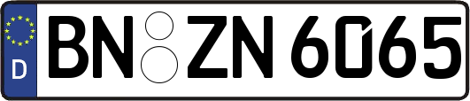 BN-ZN6065