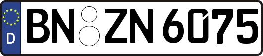 BN-ZN6075