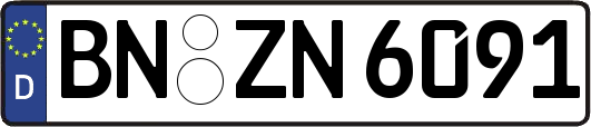 BN-ZN6091