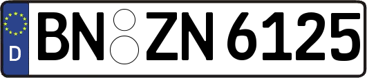 BN-ZN6125