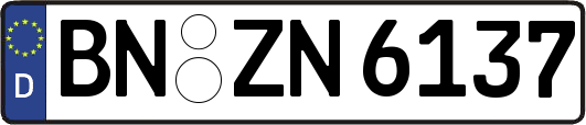 BN-ZN6137