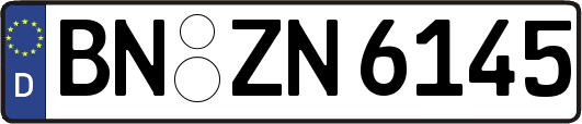 BN-ZN6145