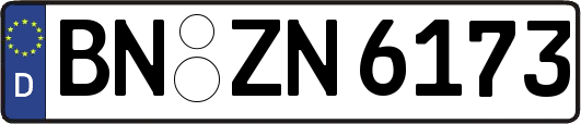 BN-ZN6173
