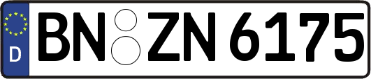 BN-ZN6175
