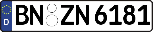 BN-ZN6181