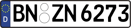 BN-ZN6273