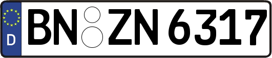 BN-ZN6317