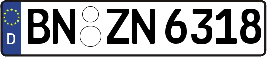 BN-ZN6318