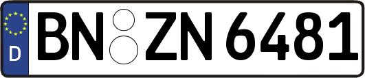 BN-ZN6481