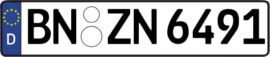 BN-ZN6491
