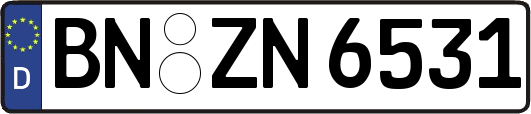 BN-ZN6531