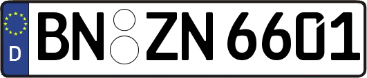 BN-ZN6601