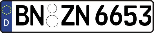 BN-ZN6653