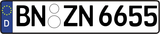 BN-ZN6655