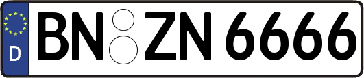 BN-ZN6666
