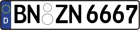 BN-ZN6667