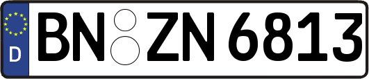 BN-ZN6813