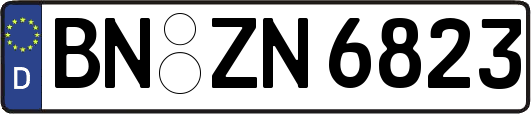 BN-ZN6823