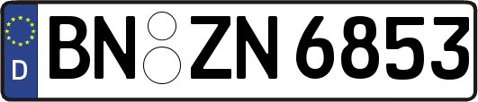 BN-ZN6853