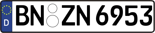 BN-ZN6953