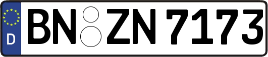 BN-ZN7173