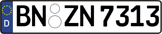 BN-ZN7313