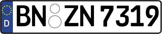 BN-ZN7319
