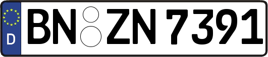 BN-ZN7391
