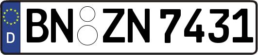 BN-ZN7431