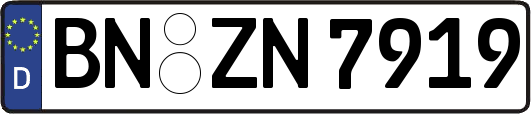 BN-ZN7919