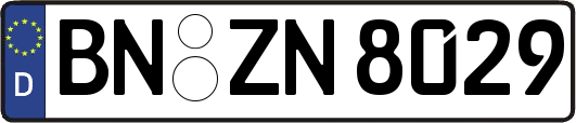 BN-ZN8029