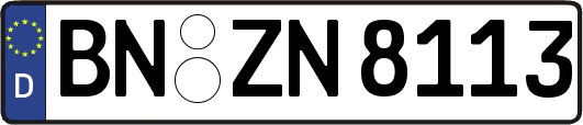 BN-ZN8113