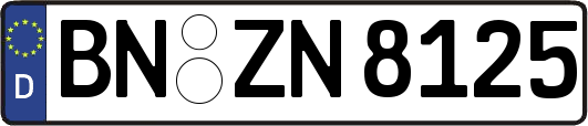 BN-ZN8125