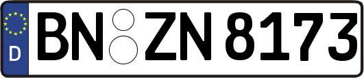 BN-ZN8173