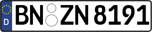 BN-ZN8191