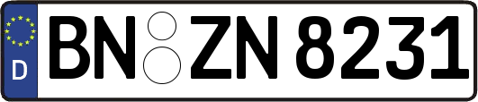 BN-ZN8231