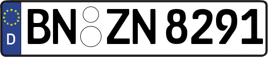 BN-ZN8291