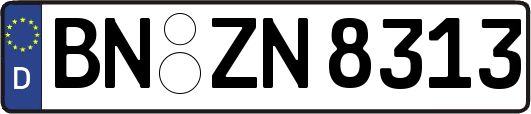 BN-ZN8313
