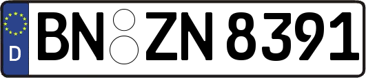 BN-ZN8391