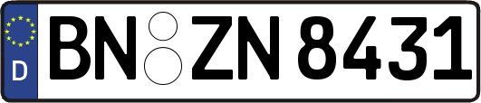 BN-ZN8431