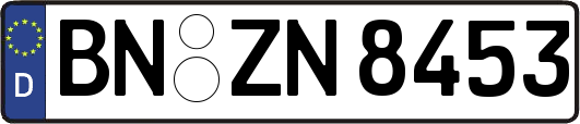 BN-ZN8453
